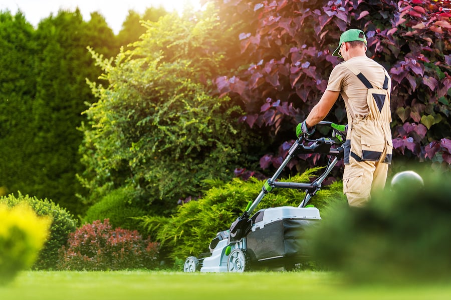 bigstock-Caucasian-Residential-Garden-W-413727236