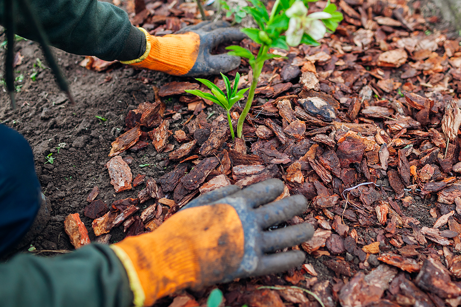 ways your business can benefit from grounds maintenance
